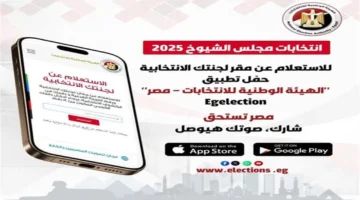 تنزيل تطبيق الهيئة الوطنية للانتخابات: خطوات التسجيل واستخدام الخدمات الإلكترونية